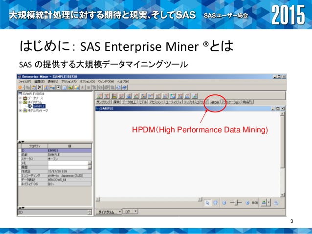 what is sas enterprise miner